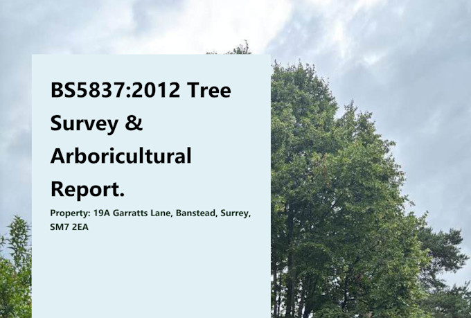provide arboricultural report for UK planning